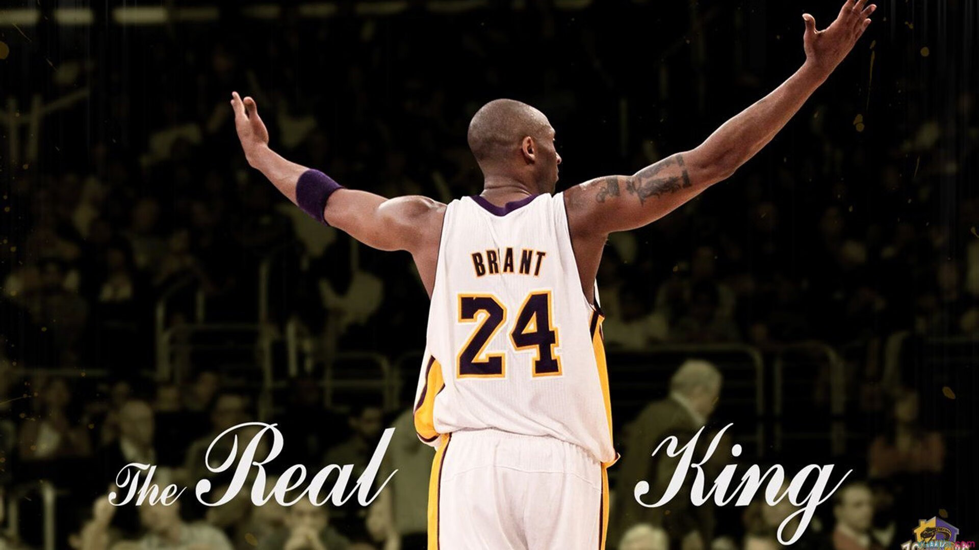 哈利伯顿防守端锁死对手，雄鹿轻取凯尔特人